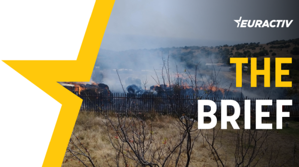 The Brief — Up close and personal with wildfire | INFBusiness.com