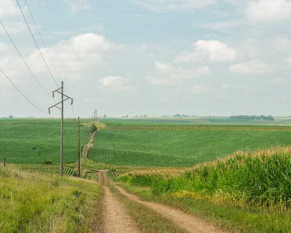 Climate Activists and Steve King Unlikely Allies in Iowa Pipeline Fight | INFBusiness.com