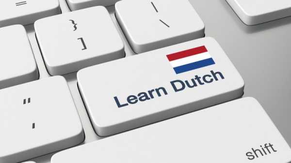 Flanders’ plans for mandatory migrant Dutch language classes may fall through | INFBusiness.com