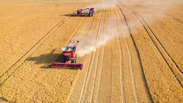 Slovak agri-chief demands change in ‘thistle instead of wheat’ scheme | INFBusiness.com