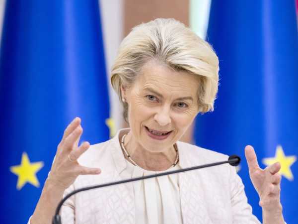 Ursula’s choice and reshaping alliances ahead of June 2024 | INFBusiness.com