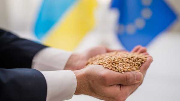 EU Commission experts visit Romania to improve EU-Ukraine grain links | INFBusiness.com