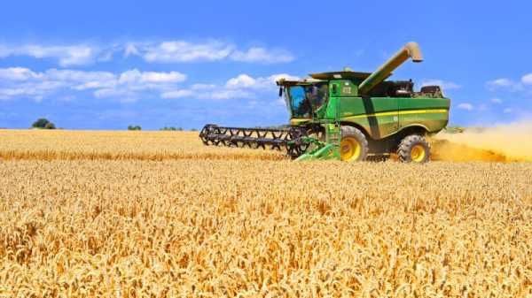 Bulgaria ends ban on Ukrainian grain import | INFBusiness.com
