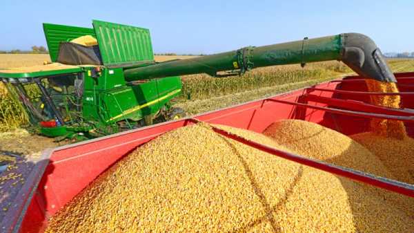 Bulgarian farmers to pressure government to ban Ukrainian grain imports | INFBusiness.com
