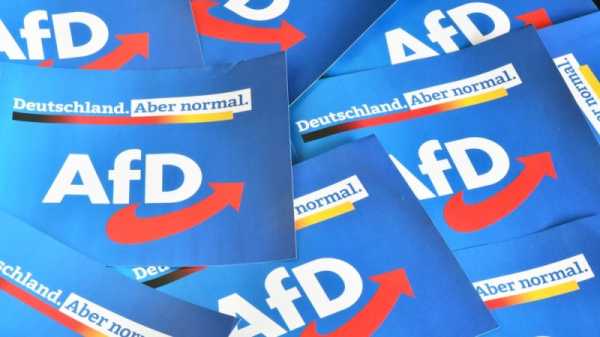 EU elections: German far-right candidates allowed to run despite false resume claims | INFBusiness.com