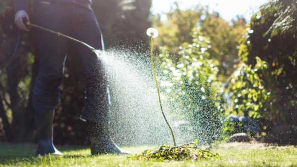 Dutch parliament urges cabinet to vote against glyphosate re-approval | INFBusiness.com