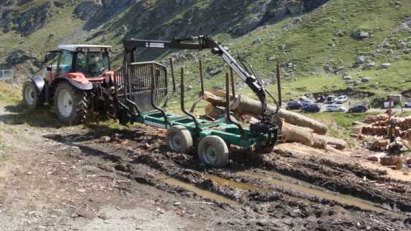 Romanian NGOs urge EU Commission to enforce moratorium to protect local forests | INFBusiness.com