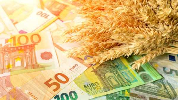 Slovak farmers record historic profit amid Ukraine grain conflict | INFBusiness.com