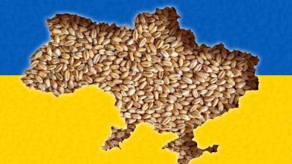 Romanian MEP proposes EU mechanism for Ukrainian grain imports | INFBusiness.com