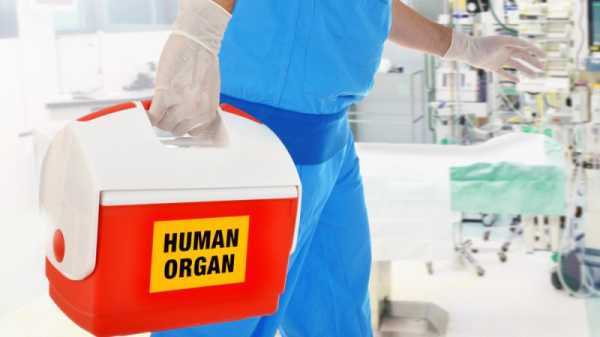 UK MPs reject bid to end state complicity in Chinese forced organ harvesting | INFBusiness.com