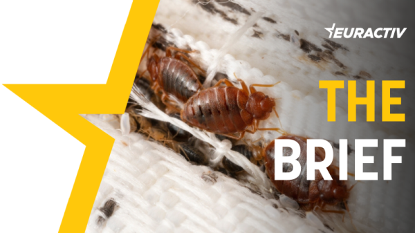 The Brief – Burn the bedbugs, France begs | INFBusiness.com