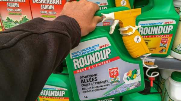 France remains neutral on glyphosate | INFBusiness.com