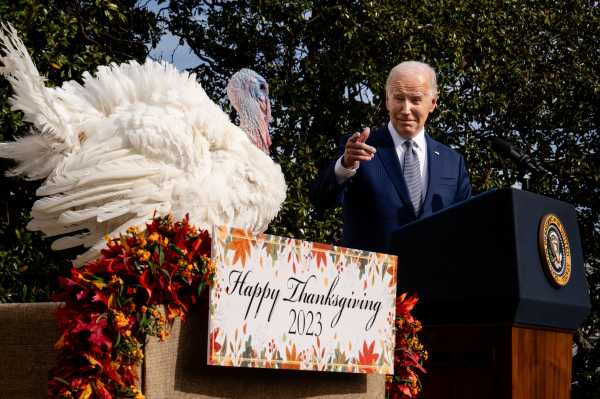 Biden Celebrates 81st Birthday and Pardons Turkeys in Pre-Thanksgiving Ritual | INFBusiness.com