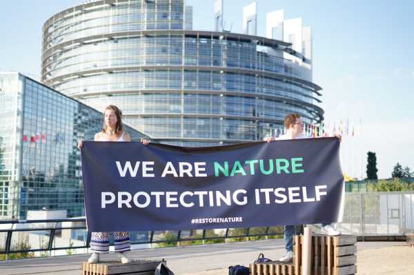 Is EU nature restoration law at risk of becoming a lame duck? | INFBusiness.com