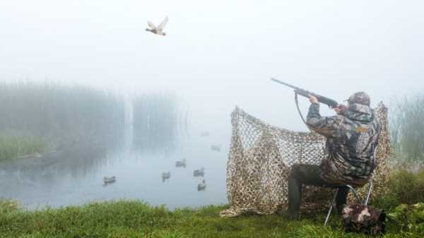 EU member state funds being wasted as Malta pushes ahead with bird hunting | INFBusiness.com