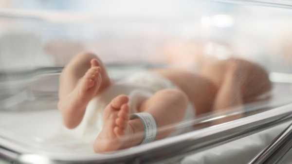 Italy sees drop in birth rate | INFBusiness.com