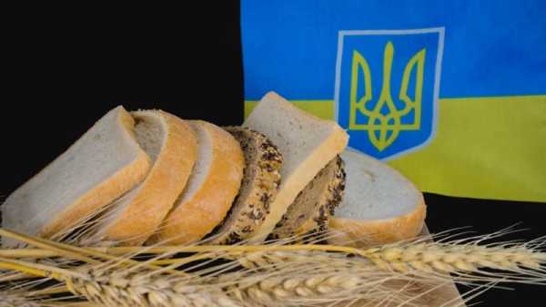 Romania has not imported Ukrainian farm products in the past six months | INFBusiness.com