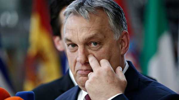 Orbán is ‘Trojan horse’ for Russian interests, says Czech minister | INFBusiness.com