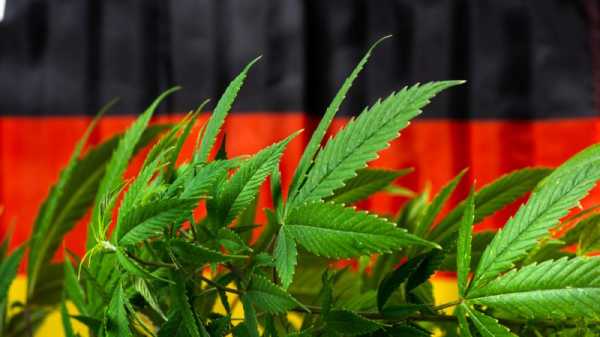 Germany’s promise to legalise cannabis by April threatened by SDP’s in-house fighting | INFBusiness.com