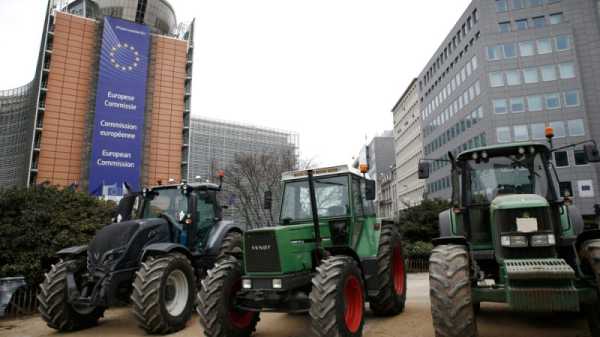 Czech agrarian chief: European agricultural policy should be abolished | INFBusiness.com