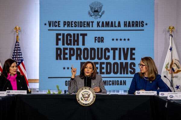 Kamala Harris Pushes Abortion Rights in Michigan, With Gaza Anger as Backdrop | INFBusiness.com