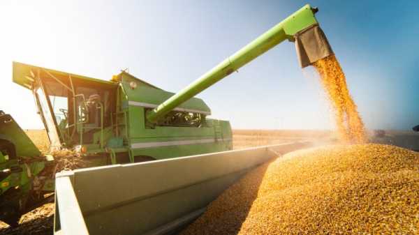 Ukrainian grain transits through Romania as export licences effective | INFBusiness.com