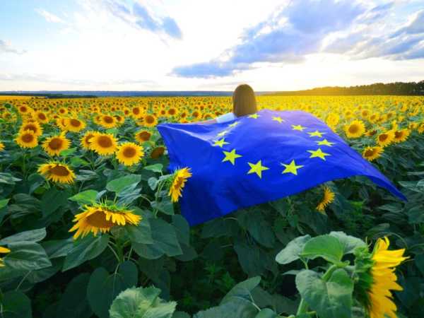 France ‘hypocritical’ to blame Brussels for farmers’ problems – experts | INFBusiness.com