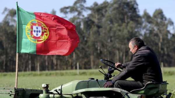 Portuguese farm boss: Brussels protest pointless if EU rules don’t change | INFBusiness.com
