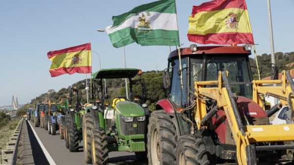 Portuguese farmers’ federation in Brussels to ask for €60 million owed | INFBusiness.com