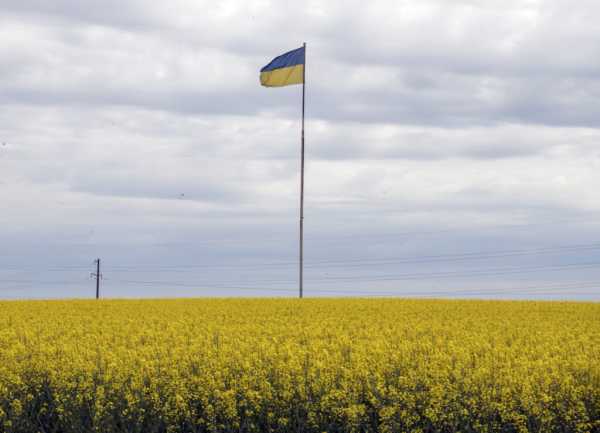 Ukraine paves way for green energy future amid Russia’s escalating attacks | INFBusiness.com