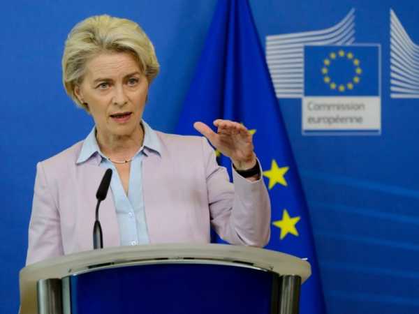 French far right vows to re-write EU treaties, fight ‘Vonderleyenism’ | INFBusiness.com