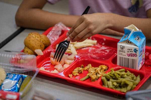 New Nutrition Guidelines Put Less Sugar and Salt on the Menu for School Meals | INFBusiness.com