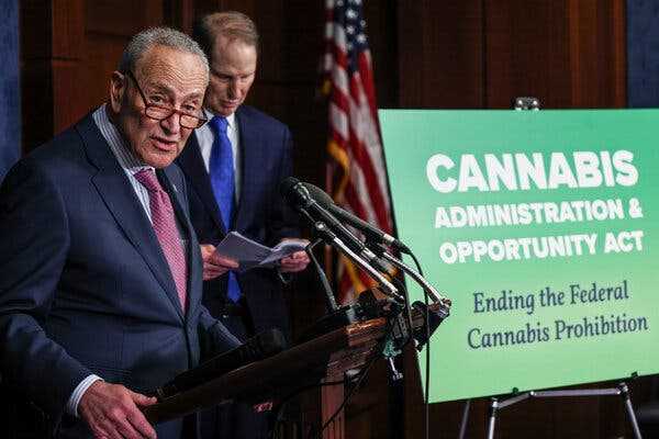 Senate Democrats Reintroduce Legislation to Legalize Marijuana