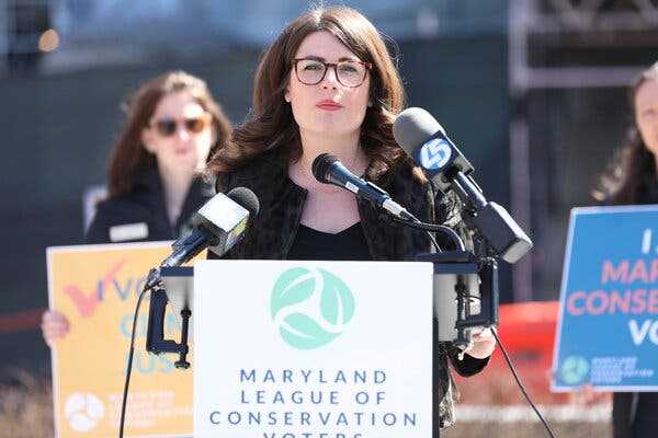 Sarah Elfreth, Maryland’s Youngest Female State Senator, Wins House Primary | INFBusiness.com