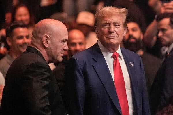 After Verdict, Trump Revels in Embrace of His Most Avid Base: Male Fans | INFBusiness.com