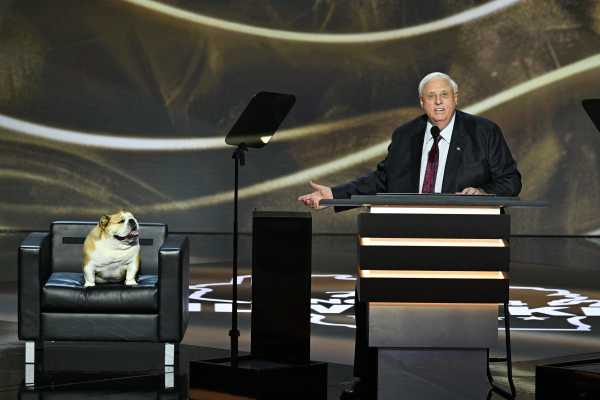 Babydog, a Plump Bulldog Who Is Apparently a Republican, Charms the R.N.C. | INFBusiness.com