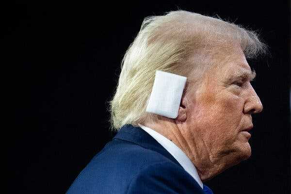 Bullet or Fragment of One Struck Trump’s Ear, F.B.I. Says | INFBusiness.com