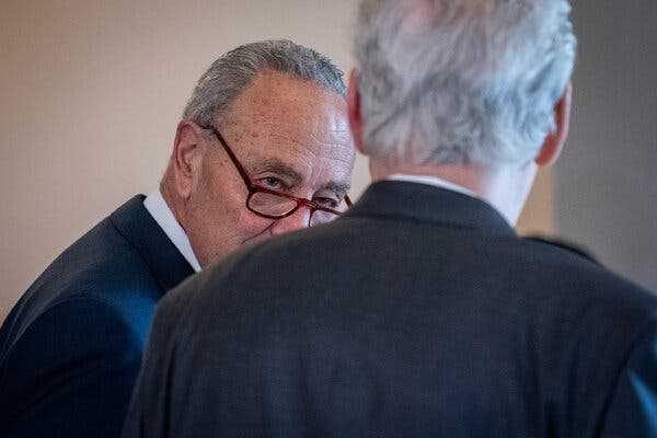 Schumer Is Open to Replacing Biden, Some Officials Say | INFBusiness.com