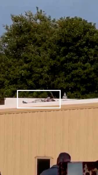 Video Shows Suspect in Trump Shooting Lying Motionless on Nearby Rooftop | INFBusiness.com