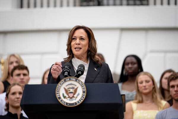 Female Donors Mobilize for Harris, Moving to Stamp Out Opposition | INFBusiness.com