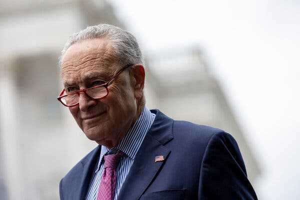 Schumer Promises Year-End Judicial Push as Courts Gain New Political Importance | INFBusiness.com