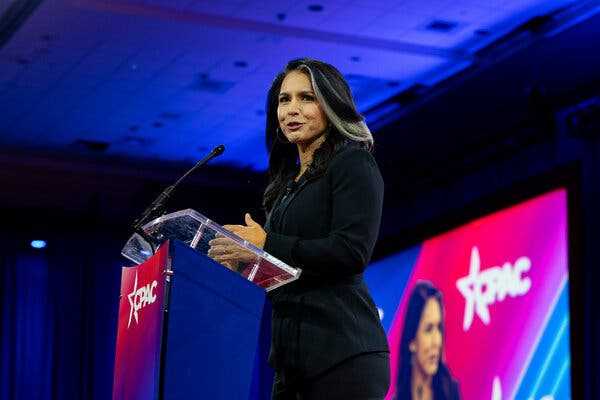 Trump Pulls in Tulsi Gabbard for Debate Prep | INFBusiness.com