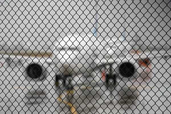 F.A.A. Refers More Unruly Passenger Cases to Justice Department | INFBusiness.com