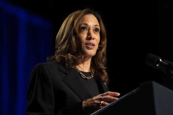 Harris Now Has an Economic Plan. Can It Best Trump’s Promises? | INFBusiness.com