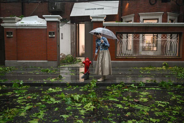 A woman sweeps a street that is covered in downed tree branches.