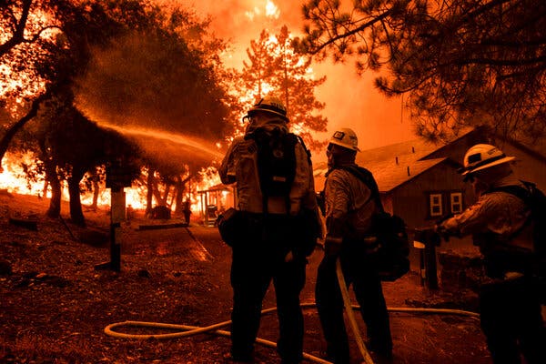 Firefighters hold a hose as they spray water on trees. A large fire burns in the background.