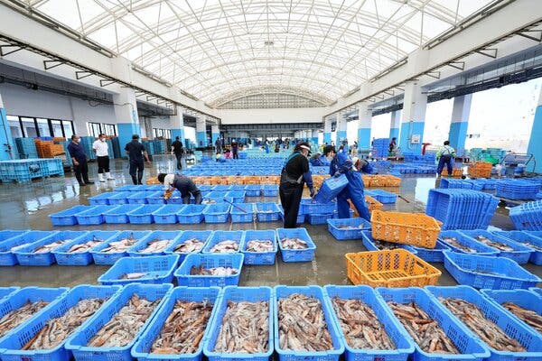 Tubs of fish and other seafood at a port. A few people are sorting through some of them.