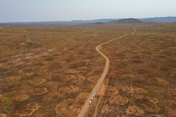 An elevated view of a dirt road cutting through a desert landscape that is covered with termite mounds. Mountains can be seen in the distance.