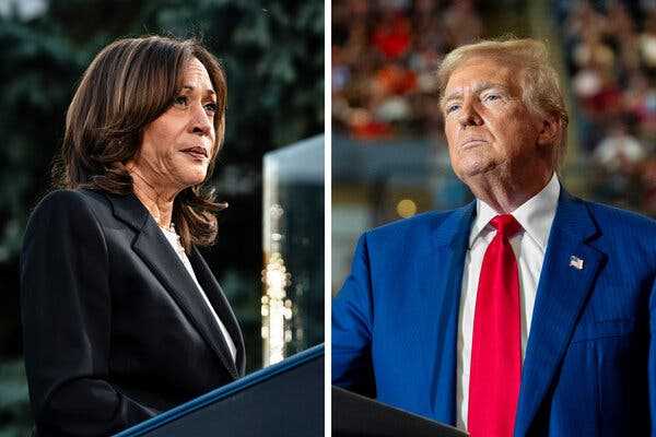 Trump and Harris Both Like a Child Tax Credit but With Different Aims | INFBusiness.com