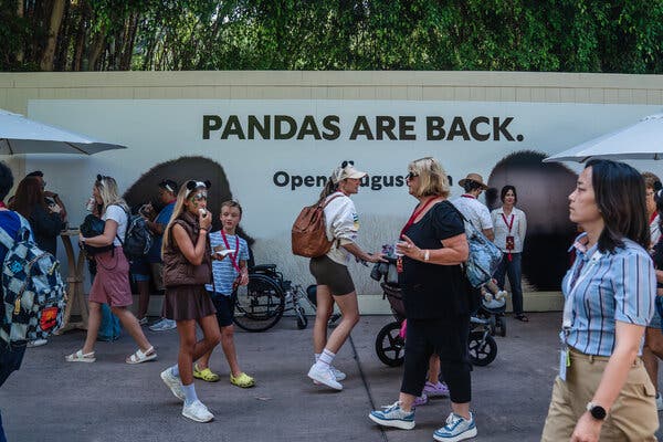 5 Provisions in China’s Panda Contracts With U.S. Zoos | INFBusiness.com